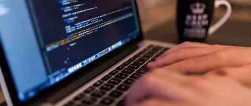 軟件工程與學(xué)前教育的交叉 計算機軟件技術(shù)開發(fā)在早期教育中的應(yīng)用