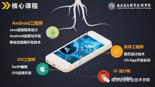南京信息職業(yè)技術(shù)學(xué)院計算機與軟件學(xué)院高招專業(yè)介紹 計算機軟件技術(shù)開發(fā)