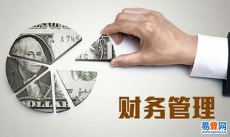 東西湖進出口代理業(yè)務(wù)解析與優(yōu)勢探索